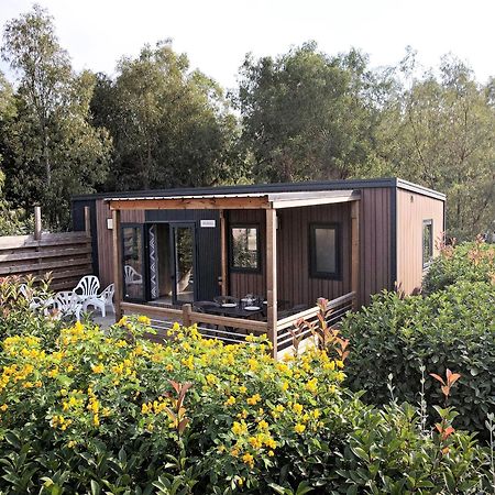 Camping Les Castors كالفي المظهر الخارجي الصورة
